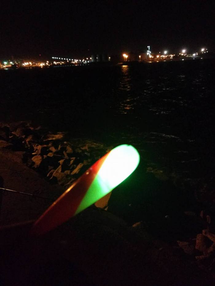 12922219_10208993316333708_1329237286_o