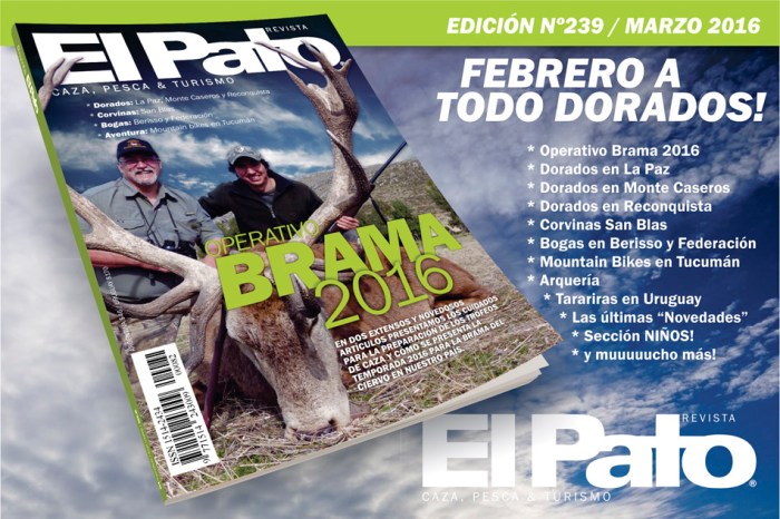 revista_sec