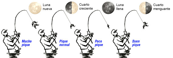 Luna y pesca