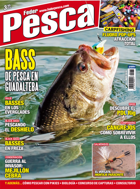 Feder Pesca Mayo