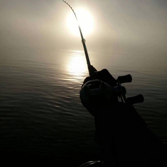 13620775_1107024442710329_4508733777029514860_n