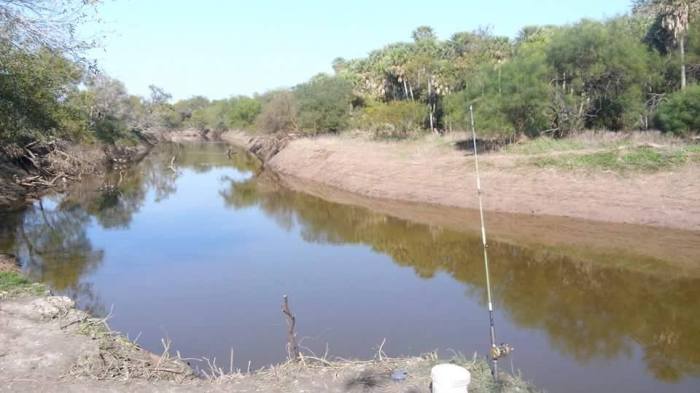 13686536_1097642520315188_4973340002353367997_n