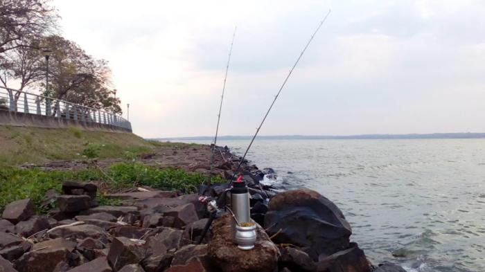 13886961_1111557758923664_3412677872480560168_n