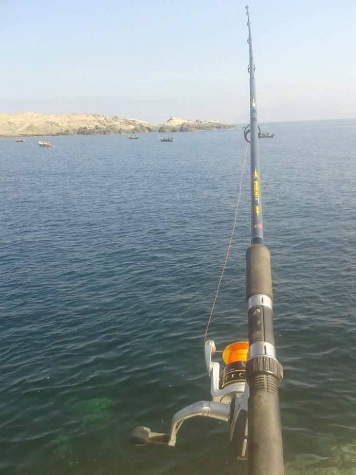 13891792_1110276045718502_748341316161776270_n