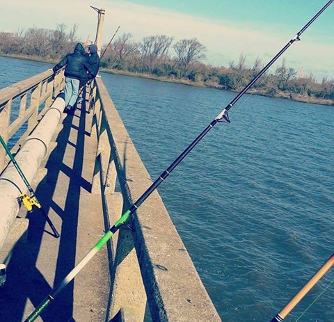 13912773_1121360607943379_778975005097112305_n