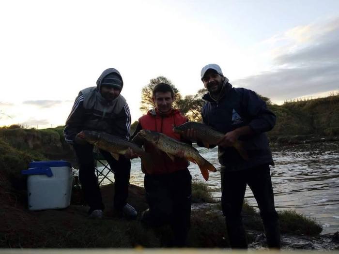 13912827_1121302891282484_6107735963346706529_n