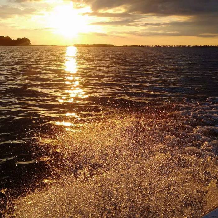 13920749_1114170141995759_3135462856631220165_n