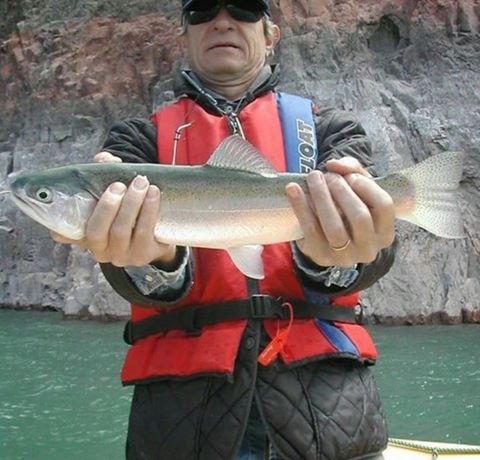 14063855_1121338057945634_4958381181197510027_n