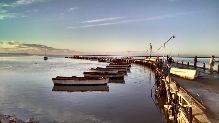 10384116_834997259913050_1475870078854691766_n