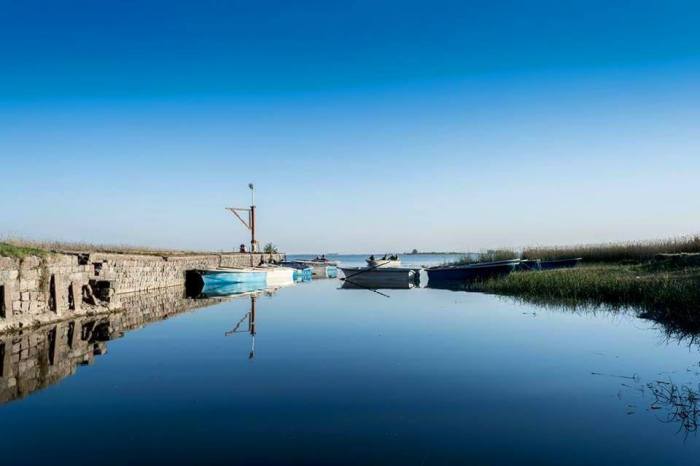 11041275_848960098516766_4586331429395077783_n