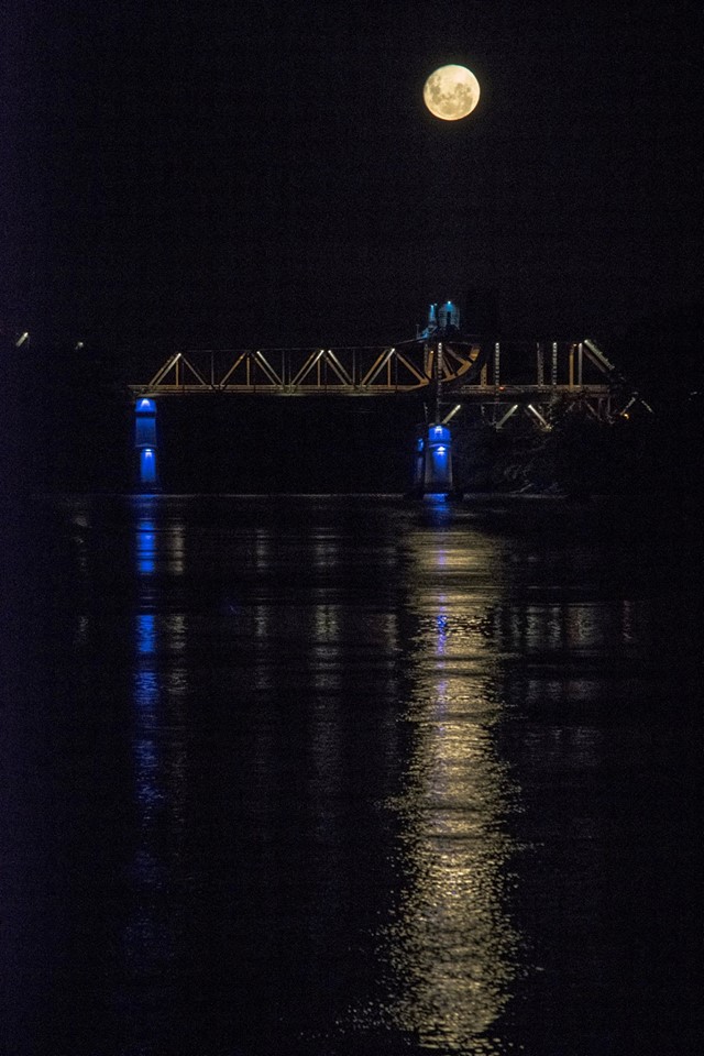 11084003_10205612931858126_3881386991579792023_o