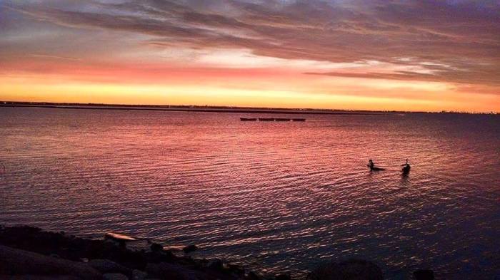 11109185_844356288977147_1339902394161932240_n