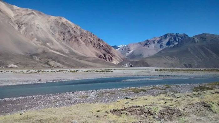 11147145_843931469019629_8609564726005276234_n