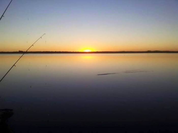 11160583_846034718809304_6973649290243688789_n