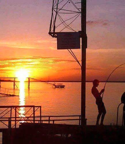 11182179_853828378029938_6311009784935236219_n