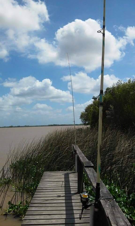 11182231_847421625337280_1441331810890511879_n