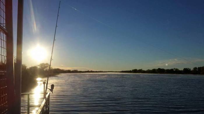 11218602_922209284525180_6104825548797482830_n (1)