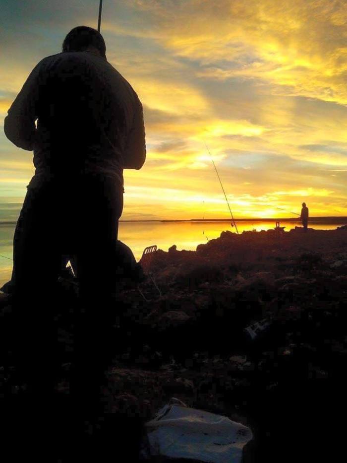 11390261_870978526314923_3281072225571815049_n