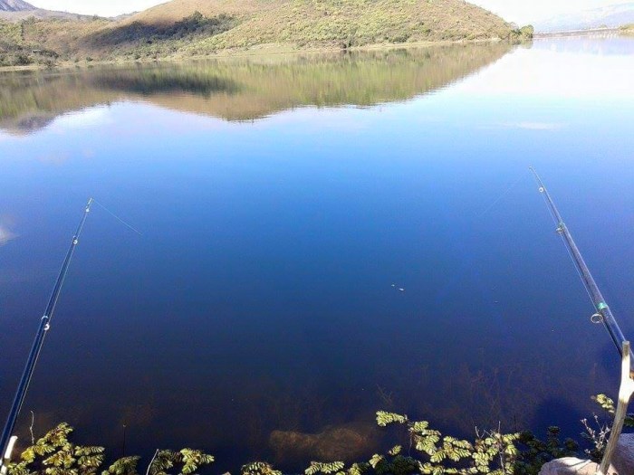 11539629_876396902439752_8143646074630410663_n