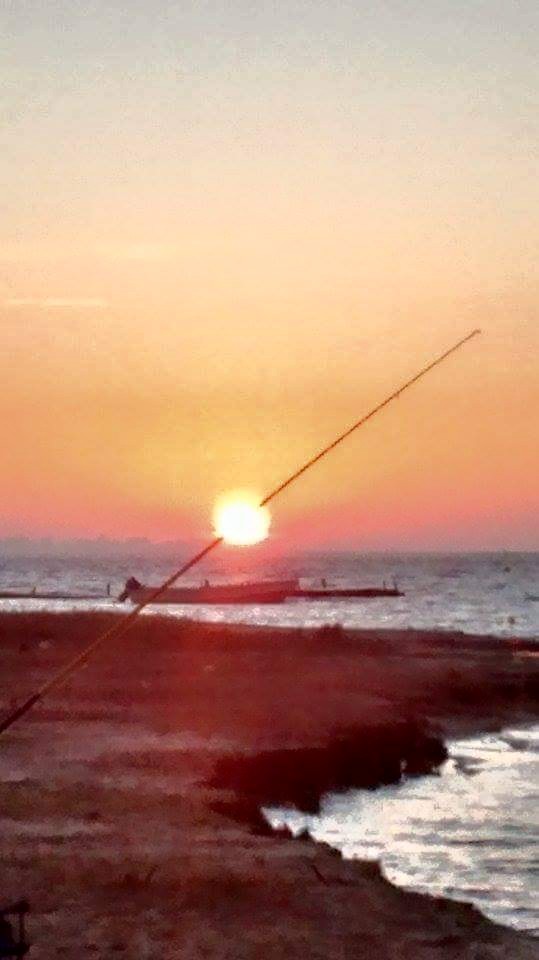 11698666_894445457301563_3211303964614319405_n