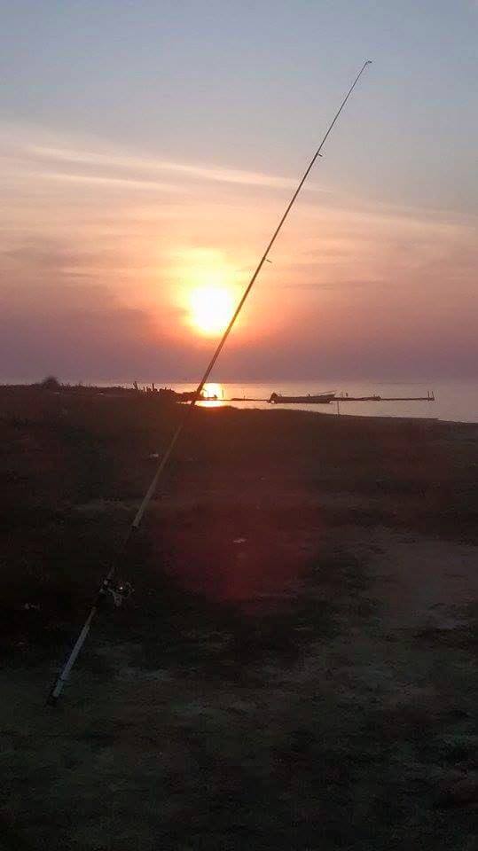 11760064_890160434396732_2142306417779439225_n