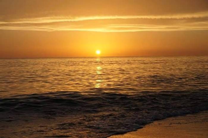 11796208_899645210114921_2725855746467977602_n (1)