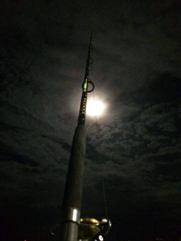 11951829_915915455154563_6807144494854868728_n