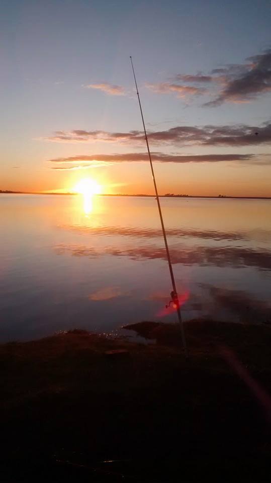 11988227_923507537728688_5996794323028485066_n