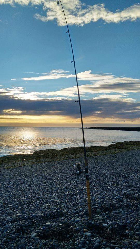 12049653_1034856463260461_7074646703375064163_n