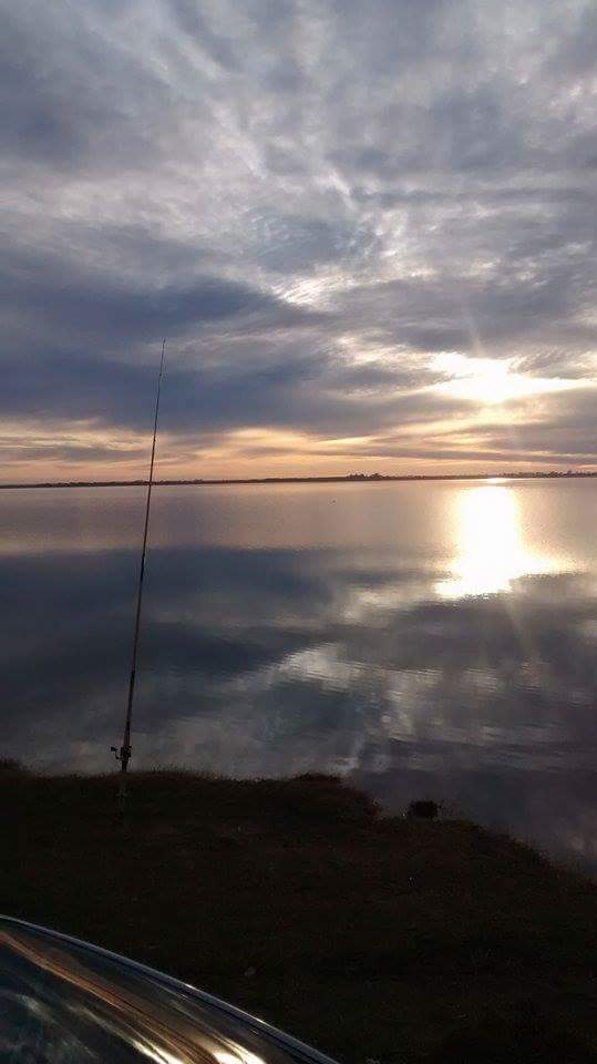 12072574_930963400316435_2829257510663463534_n