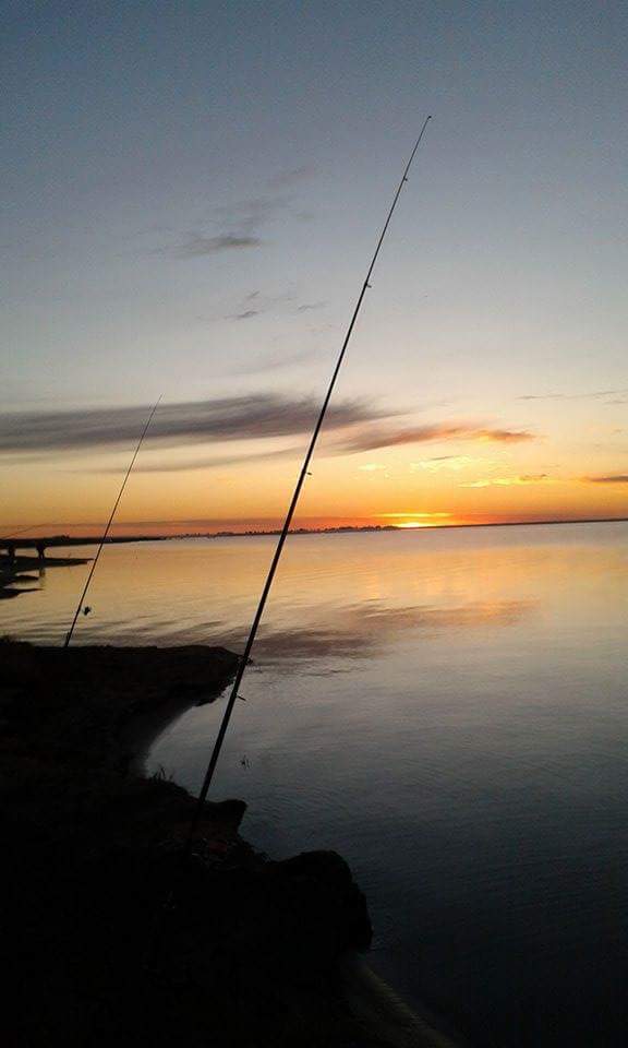 12096361_932494926829949_566308866677759823_n