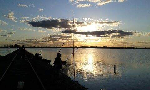 12105710_937482849664490_7894206554408222142_n