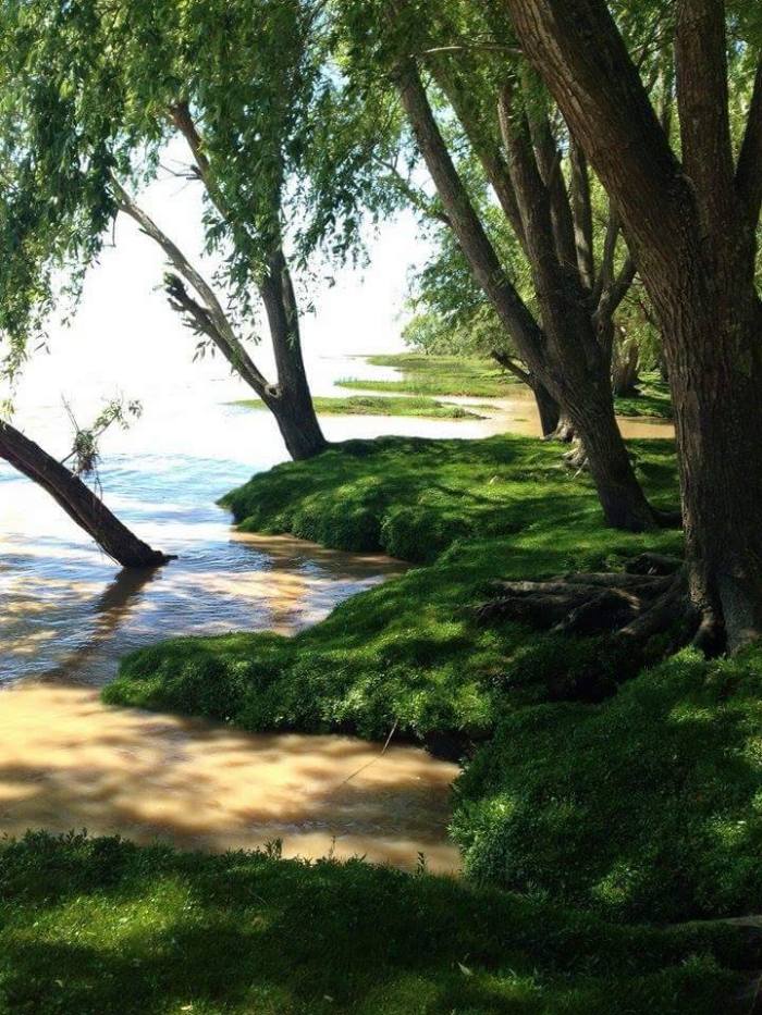 12144813_940218619390913_2553686562995721361_n