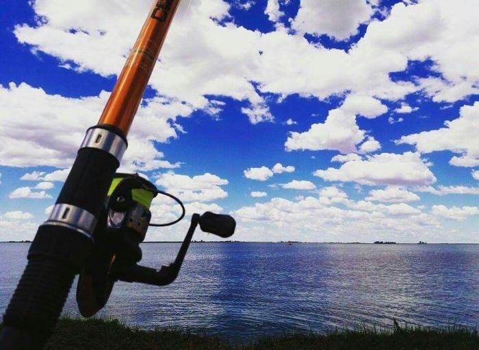 12279121_958415427571232_2495592728123193889_n