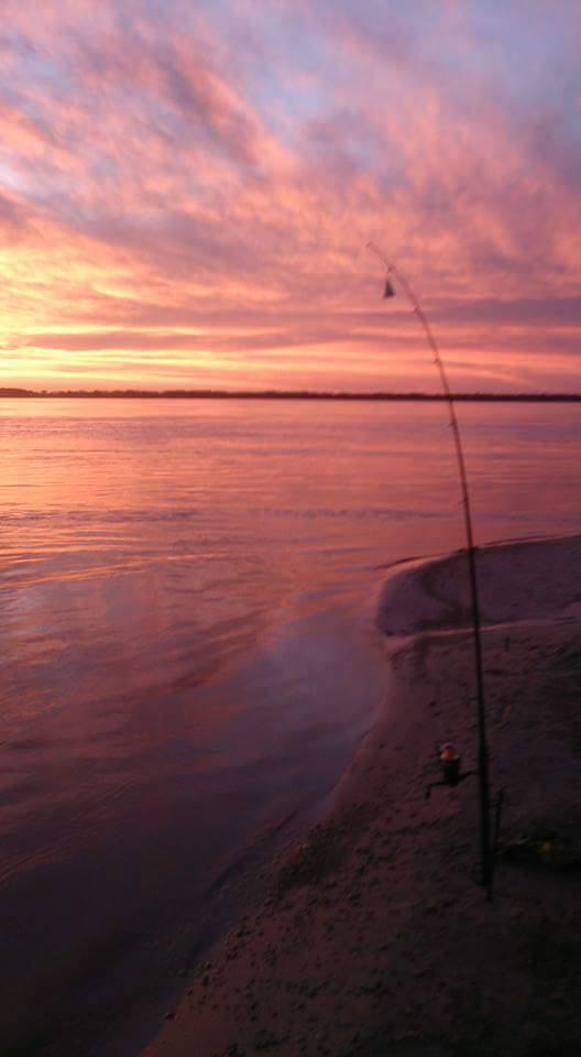 12391939_970932102986231_4410796091376120770_n