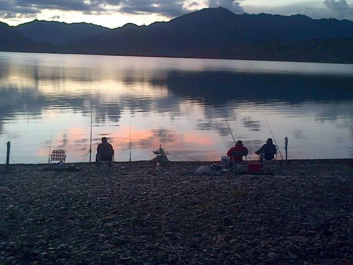 12494791_1030514460361328_7056863671635237157_n