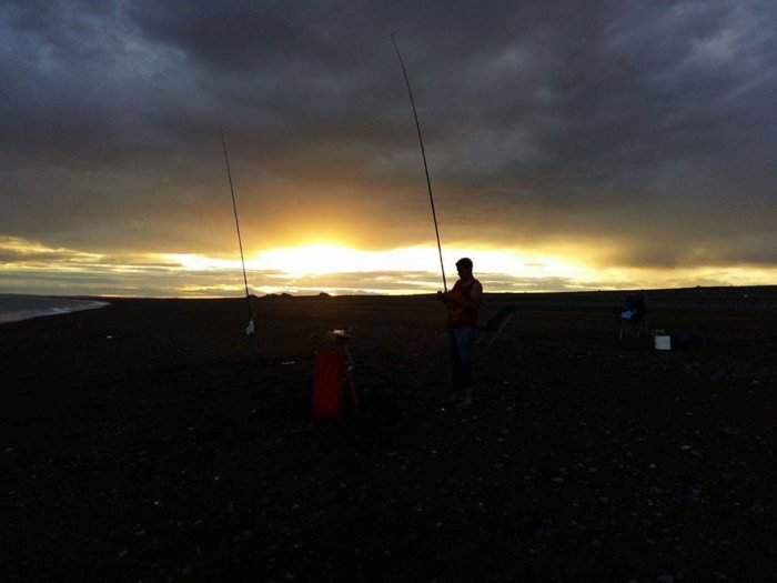 12495127_1032369393509168_356845819507048616_n