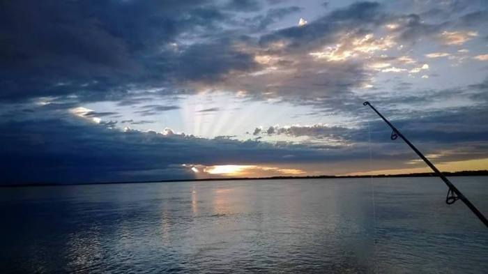 12799361_1017203825025725_4818071752725376731_n