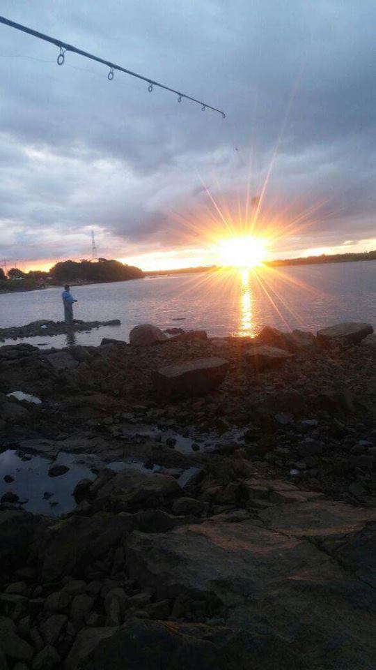 12924579_1033845710028203_4866606705830488496_n