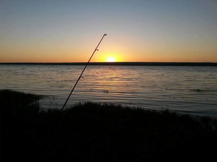 12928171_1031241173621990_3420261303028409574_n