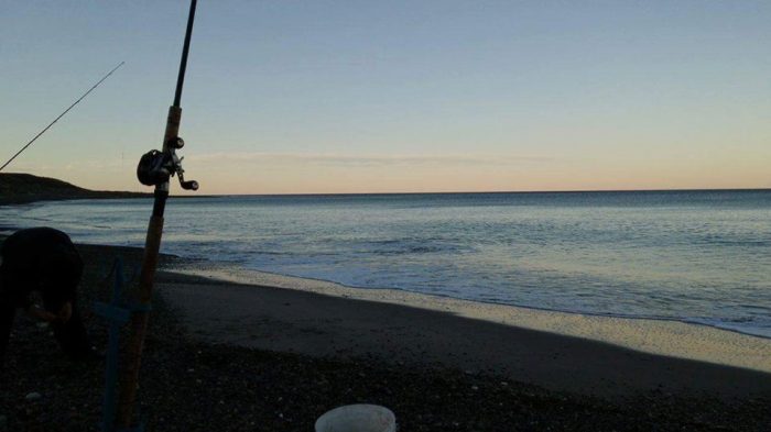 12938269_1032369413509166_2677639476817724578_n