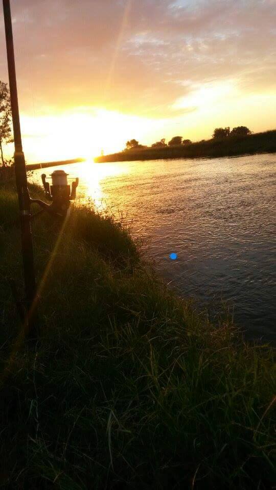 12998496_1041893569223417_7090032830115351141_n