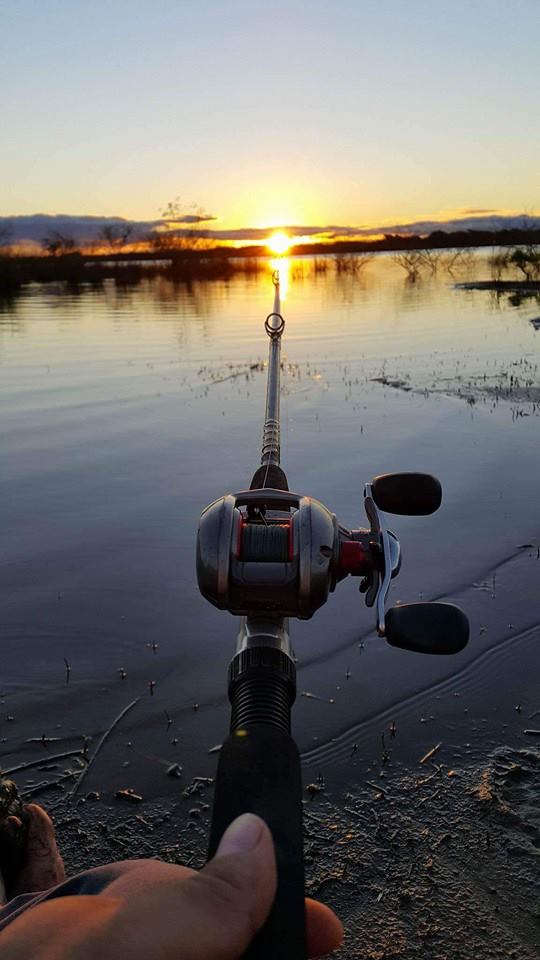 13100948_1049648531781254_1200524141045568164_n