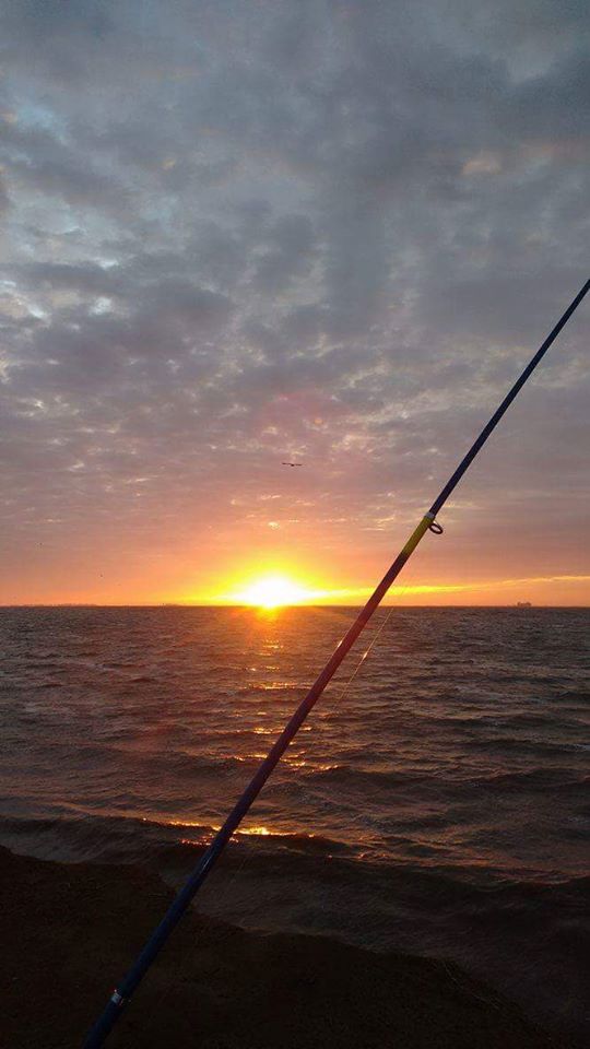 13179301_1061712270574880_562382011055886396_n