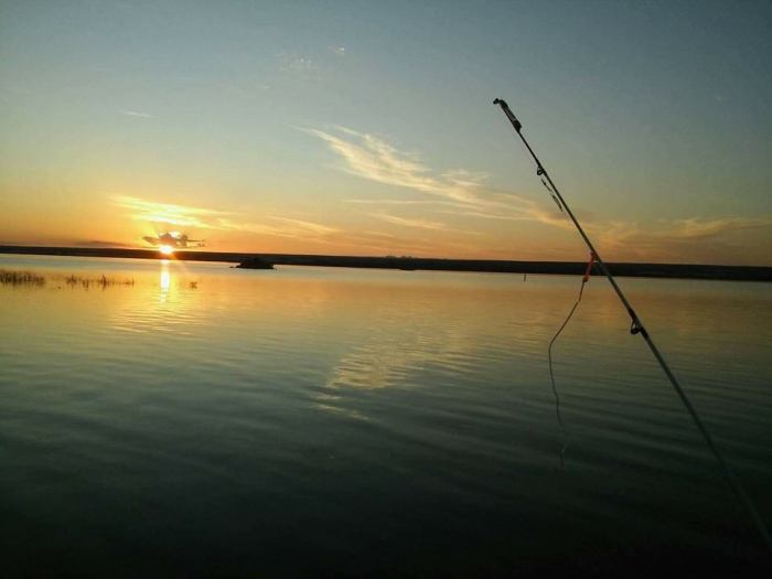 13335730_1070049986407775_403943353009891027_n