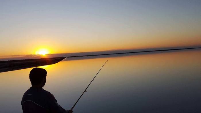 13435356_1079129402166500_73254617863175807_n