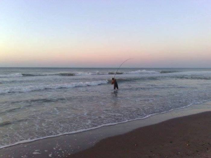 13600300_1097641720315268_5646248244085609287_n