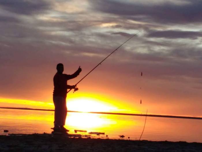 13614996_1097285567017550_7576053466058172019_n