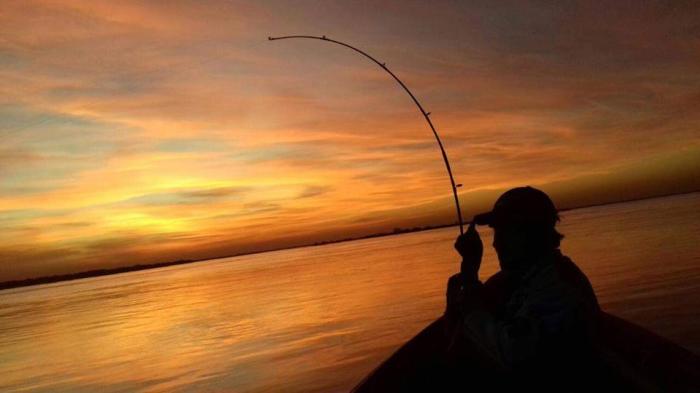 13619822_1106383679441072_5997716678583425627_n