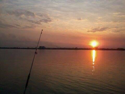 13754127_1106332236112883_6329707489937990329_n